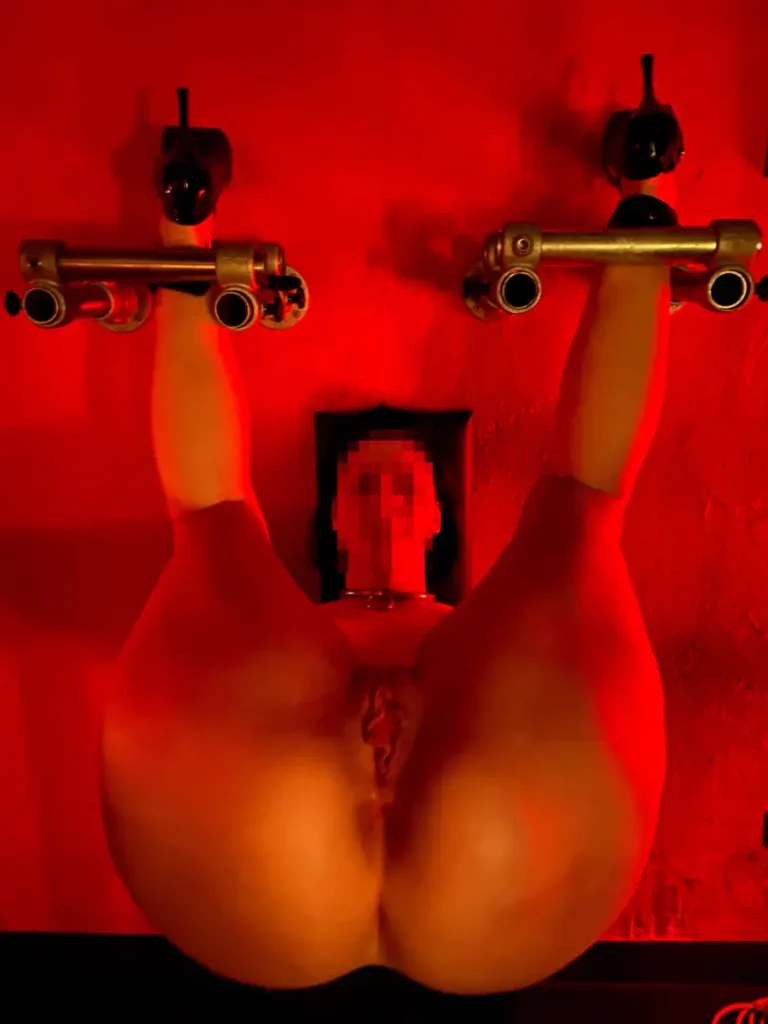 Bound & Used: Dungeon Playtime with a Tight Ass & Balls Deep Pleasure