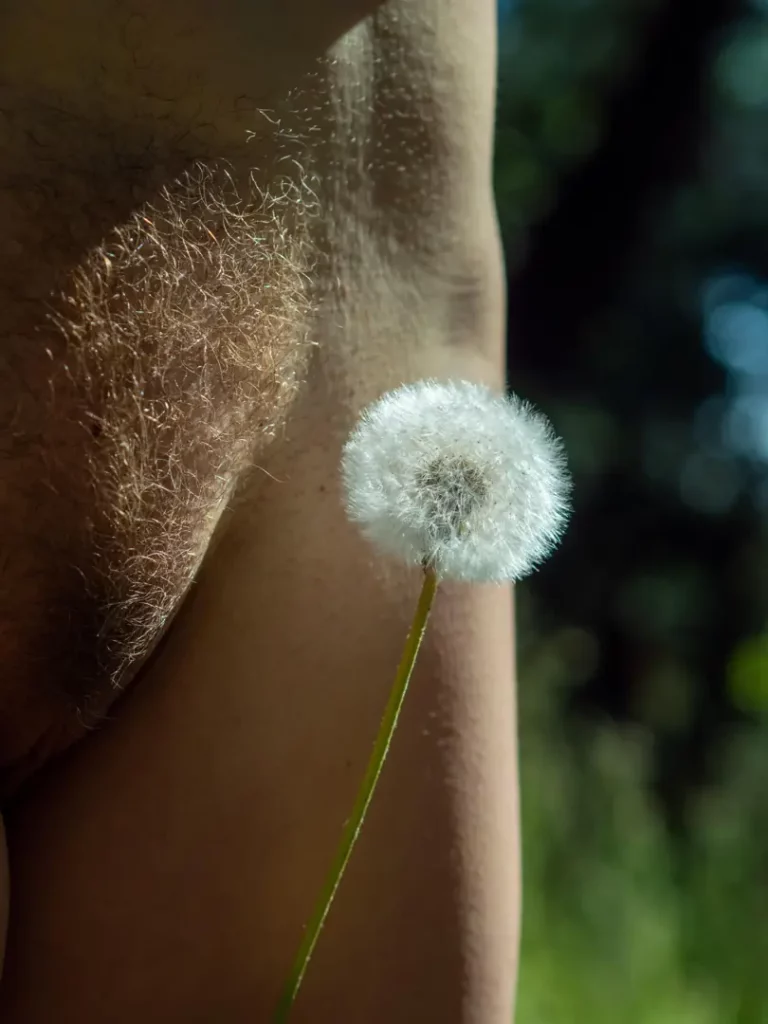 Dandelion Dreams & Sunny Bush Delight